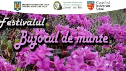 Festivalul „Bujorul de Munte”: 4 zile de folclor, tradiții și gusturi autentice, la Gura Râului