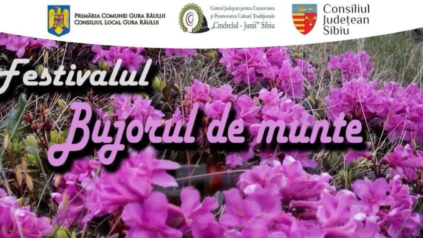 Festivalul „Bujorul de Munte”: 4 zile de folclor, tradiții și gusturi autentice, la Gura Râului