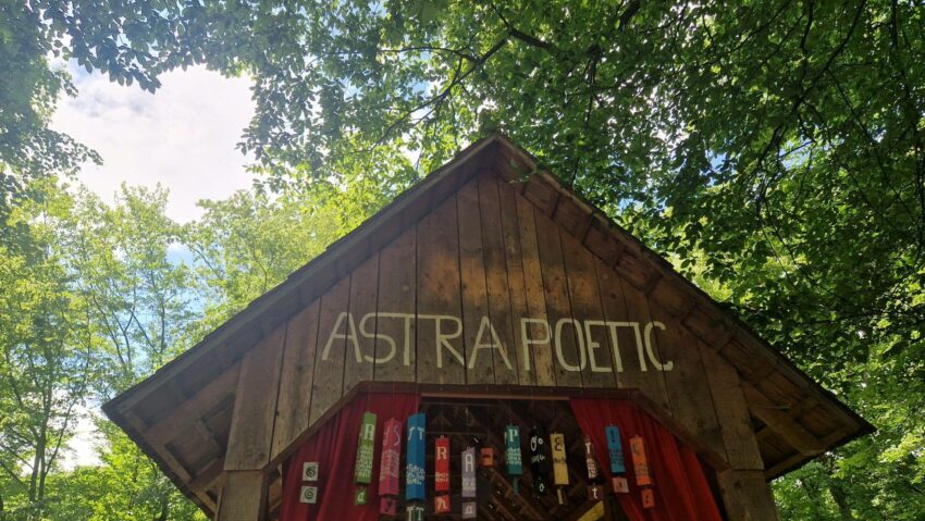 ÎnSemne poetice, la Muzeul ASTRA: Poezie, artă și meșteșug