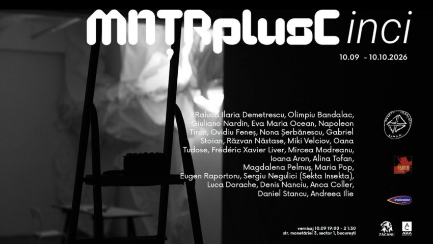 MNȚRplusCinci (ani), expoziție colectivă de artă contemporană la Muzeul Țăranului Român